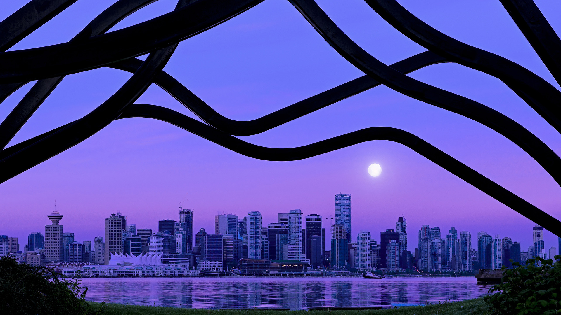 伊加·斯维亚泰克夺得2024年法网女单冠军，2020年法网女单冠军是谁