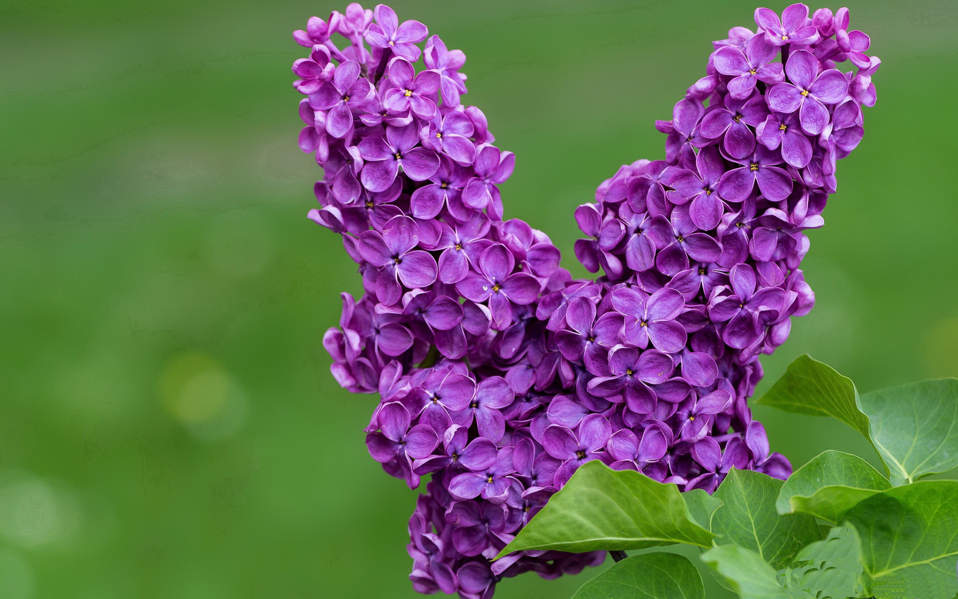 开云体育APP-凯尔特人逆转湖人，抢七大战中塔图姆三分雨不断，凯尔特人和湖人抢七大战