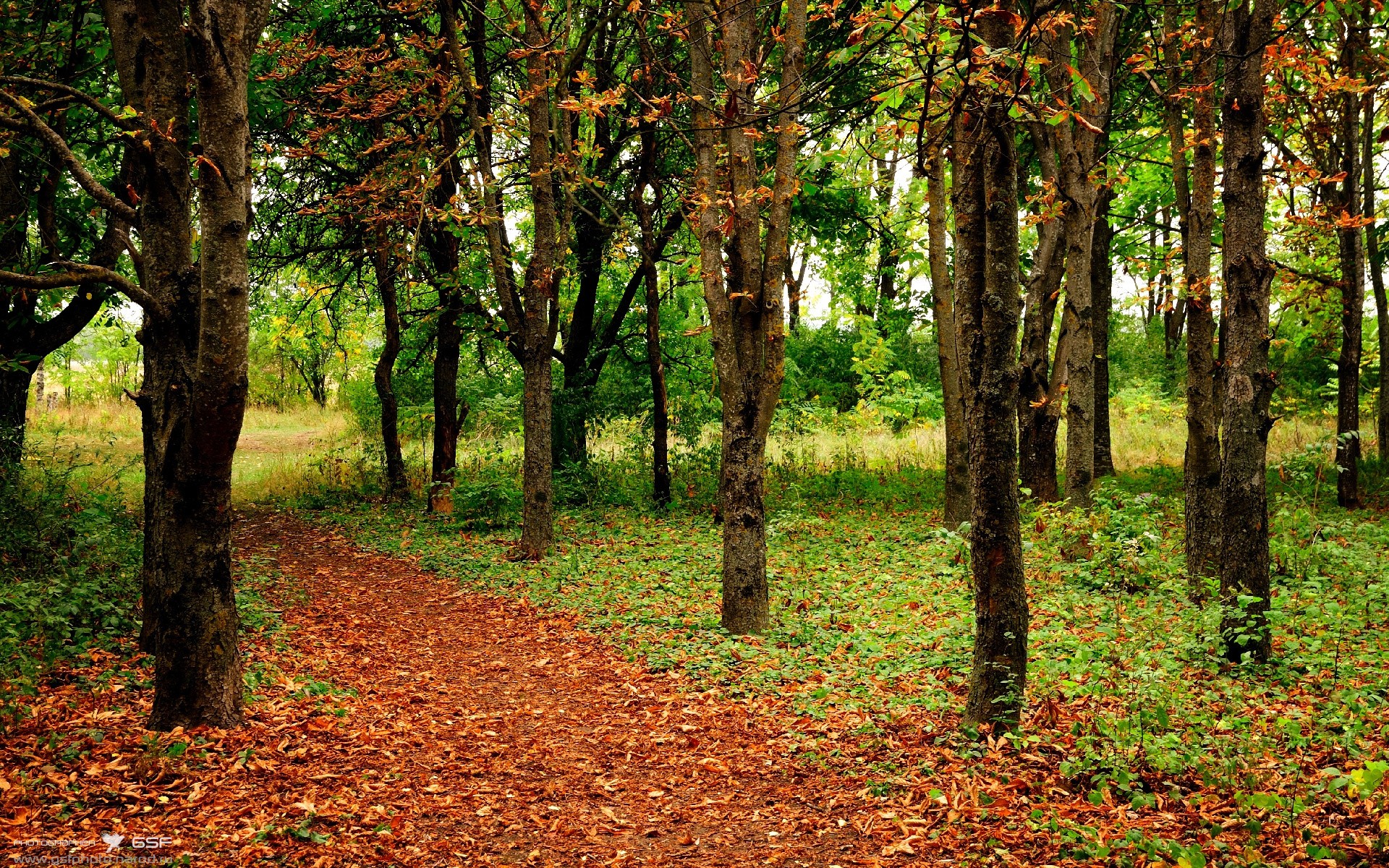 开云APP下载-快船击败骑士乔治贡献关键防守，快船队乔治