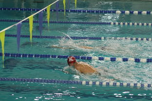 开云-全国大学生花样游泳大赛优秀节目连连，2020年全国花样游泳比赛