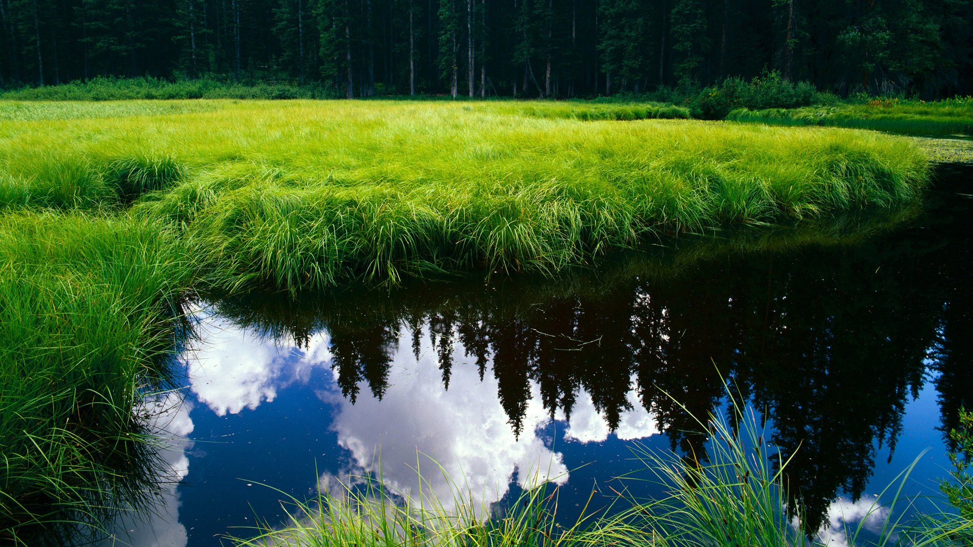 库里晒家庭训练日常强调陪伴重要，库里训练视频基础动作