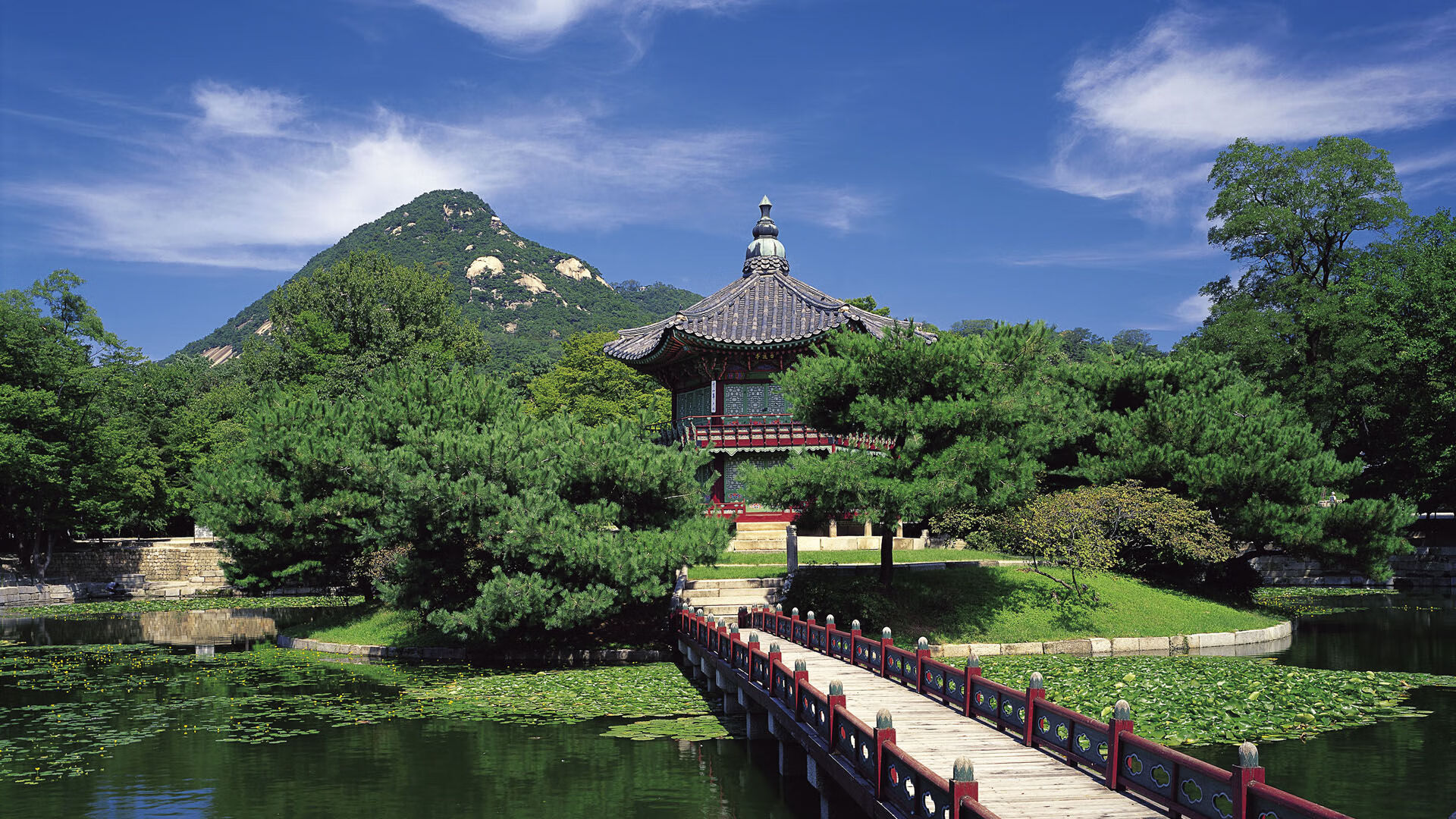 开云官网-欧洲杯巅峰角逐：战术变化带来新惊喜，欧洲杯火爆