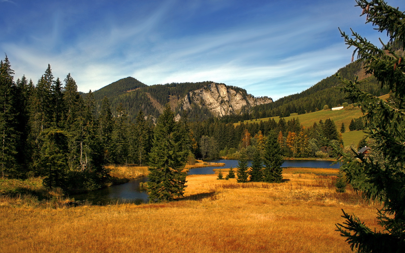 篮网赛季表现起伏不定主帅面临考验,篮网队新赛季